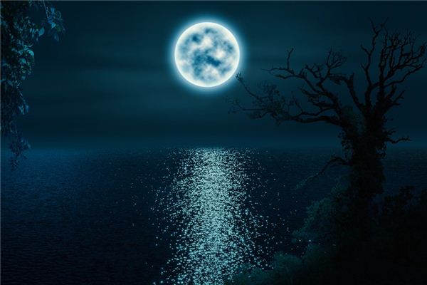 梦见月入水中是什么意思